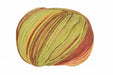 Multicolored skein of yarn on a white background