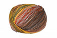 Multicolored skein of yarn on a white background