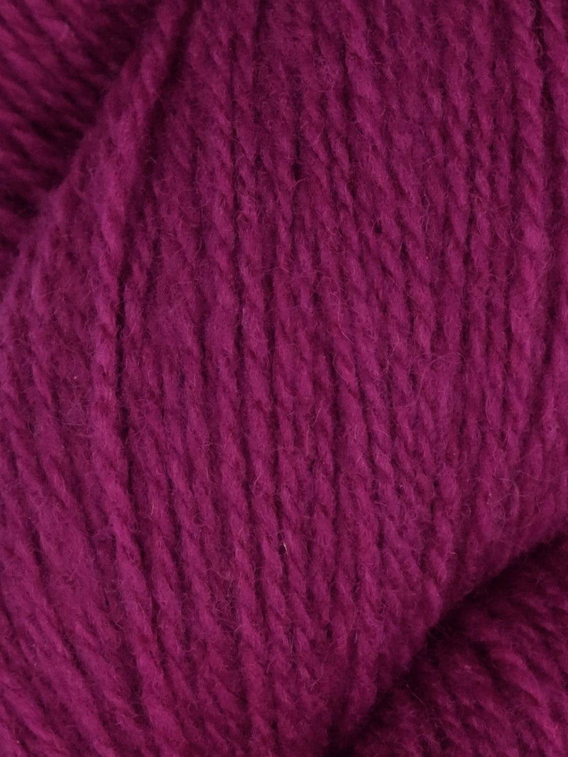 Patagonia Organic Merino