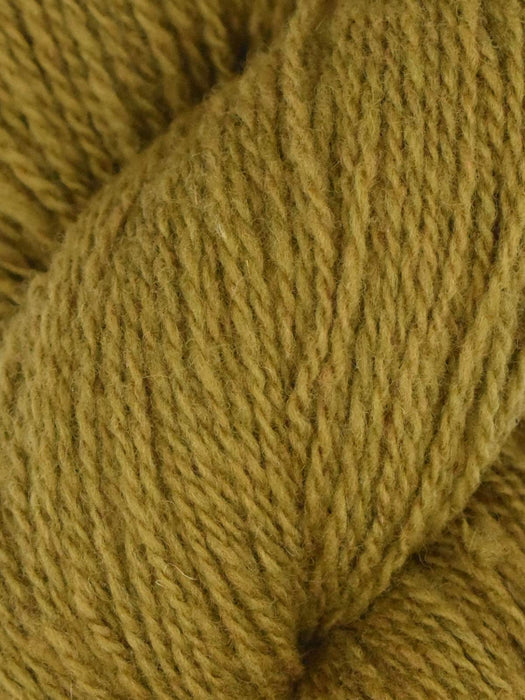 Patagonia Organic Merino