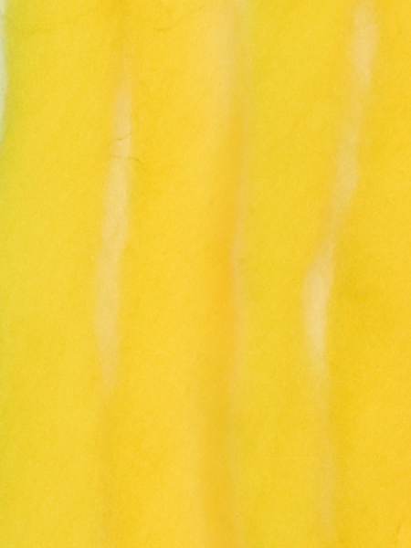 Young & Trendy Solids